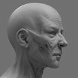 Cam_004.jpg Stylized Anatomy Face 3D print model