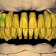 preview.jpg Free Exocad Tooth Library 5