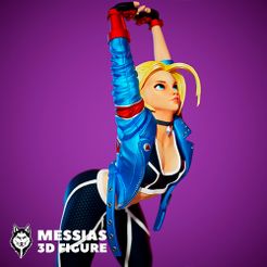 Cammy-01.jpg Cammy Figure