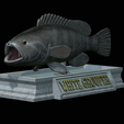 White-grouper-open-mouth-statue-5.png fish white grouper / Epinephelus aeneus open mouth statue detailed texture for 3d printing