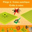 5.jpg Trappola per calabroni asiatici (10 modelli diversi) + contenitore per esche