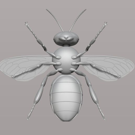 🐝 bee・Free STL File for 3D printing・Cults