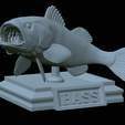 Bass-stocenej-30.png fish bass trophy statue detailed texture for 3d printing