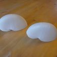 nP1130153.jpg STL file Nautiles・3D printer design to download
