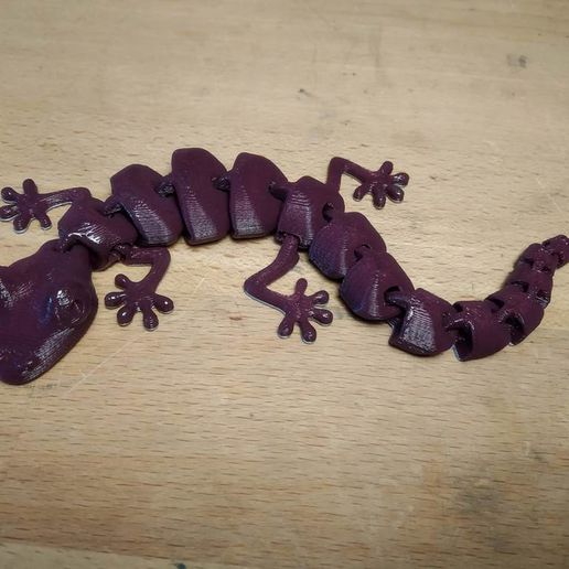 IMG_20190320_140225.jpg Articulated Lizard v2