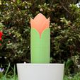 Foto-Crop.jpg Sprout, smart self watering device.