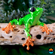 9.png Cinder Frog, Articulating Frog, Tree Frog, Dart Frog, Cinderwing3D, Articulating Flexible Fidget Cute Print in Place No Supports