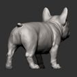 french-bulldog-puppy14.jpg french bulldog puppy 3D print model