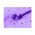 NGC 4676.stl NGC 4676 Galaxy 3D software analysis