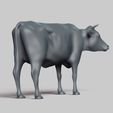 R05.jpg cow pose 01