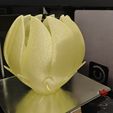 Lamp-shade-Skaftet-Big-end-printed-side-view.jpg Abat-jour fleuri pour douille E27 40 mm (exemple : IKEA SKAFTET)