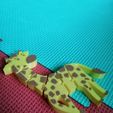 IMG_20211023_143519.jpg Flexi Giraffe