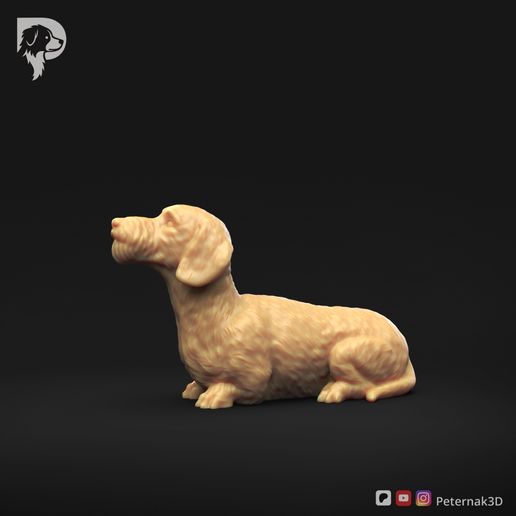 Dachshund-Miniature-Wire-Haired-Pose-08-Dog-3D-Print-8s.jpeg Dackel Miniatur Drahthaar Pose 08
