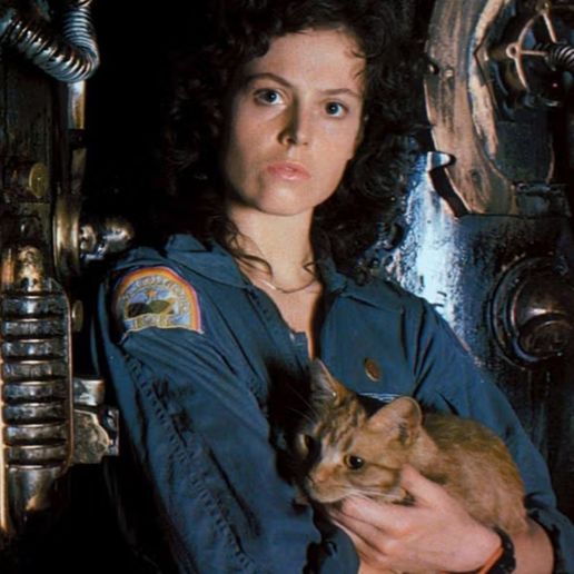 Ellen Ripley Cat 258x387