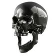 Skull-articulated20.jpg Skull articulated