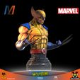 V038_MARVEL_WOLVERINE_BUST_1_Mesa-de-trabajo-1.jpg V040 - MARVEL WOLVERINE X3 PACK