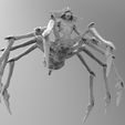 untitled.54.jpg Spider Gremlin Mohawk