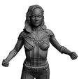 cAROL4.jpg CAPTAIN MARVEL - Carol Denvers full figure and bust - The Marvels