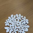 PXL_20230624_074255585.jpg Flower Coaster