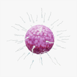 Ovum_Tumbnail.png Human Fertilization of Sperm and Egg cell (Ovum)