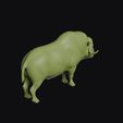 muskox_0007.jpg Muskox