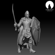 10.png The Aes Sidhe Soldier with sword and shield