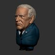 Funny03.jpg Joe Biden Caricature 3d print 3D print model