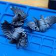 PXL_20231210_155430121.jpg Winged Prime Jump Pack MKIV