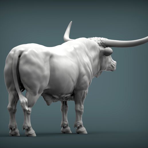 Texas-Longhorn6.jpg Texas Longhorn 3D-Druckmodell