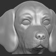 4.jpg Puppy of Pointer dog head for 3D printing