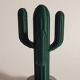 20220707_163017.jpg Cactus saguaro