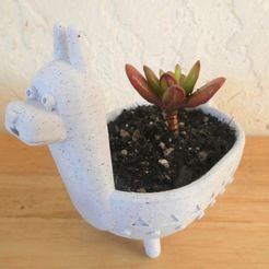 P1010390.JPG Llama Molcajete-style Planter