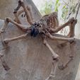 Skeleton_Spider2_3.jpg LEONARDZ3D - FLEXI DRUCK-IN-PLATZ SKELETT SPINNE - HALLOWEEN