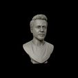 26.jpg Robert Downey 3D portrait sculpture