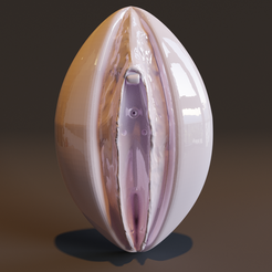 ForPromotion1.png Fichier STL Vulve, clitoris et glandes・Modèle à télécharger et à imprimer en 3D