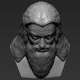 15.jpg Файл 3D Dumbledore from Harry Potter bust 3D printing ready stl obj・Модель для загрузки и печати в формате 3D