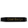 IMG_0833.png Coal Badge Sinnoh Roark