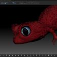 Zbrush3.jpg Nephriri Pink Gecko-Lady- Fantasy- with Full-Size-Texture + Zbrush Original-High-Polygon- STL 3D-Print-File