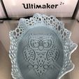 IMG_4947.jpg Tray Owl Voronoi