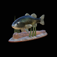 bass-na-podstavci.png bass underwater statue detailed texture for 3d printing