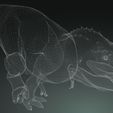 09.jpg DINOSAUR - DOWNLOAD Tyrannosaurus Rex 3d model - animated for Blender-fbx-Unity-maya-unreal-c4d-3ds max - 3D printing Tyrannosaurus DINOSAUR DINOSAUR
