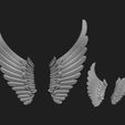 6.jpg wings 2