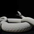 pose2Close2-min.jpg Black Mamba Venomous Snake Reptile