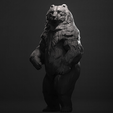 StandingBear3.png Ours Grizzly debout
