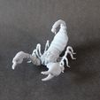 Printed_scorpion_1.jpg 3D file Emperor scorpion for 3D printing - pre supported・3D print design to download