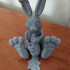 IMG_20201114_140935.jpg Rabbit Toy gluttonous rabbit