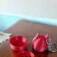 WhatsApp-Image-2024-10-23-at-7.17.09-PM-2.jpeg Molecat keychain / Grinder
