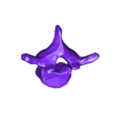 VertebralColumn29.stl Skeleton vertebral column torso bones (90 bones)