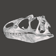Screenshot-46.png Allosaurus dinosaur skull