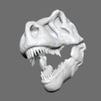 Ekran-Resmi-2024-09-22-17.33.27.png T-Rex Dinosaur Skull 3D Model - Ready for 3D Printing